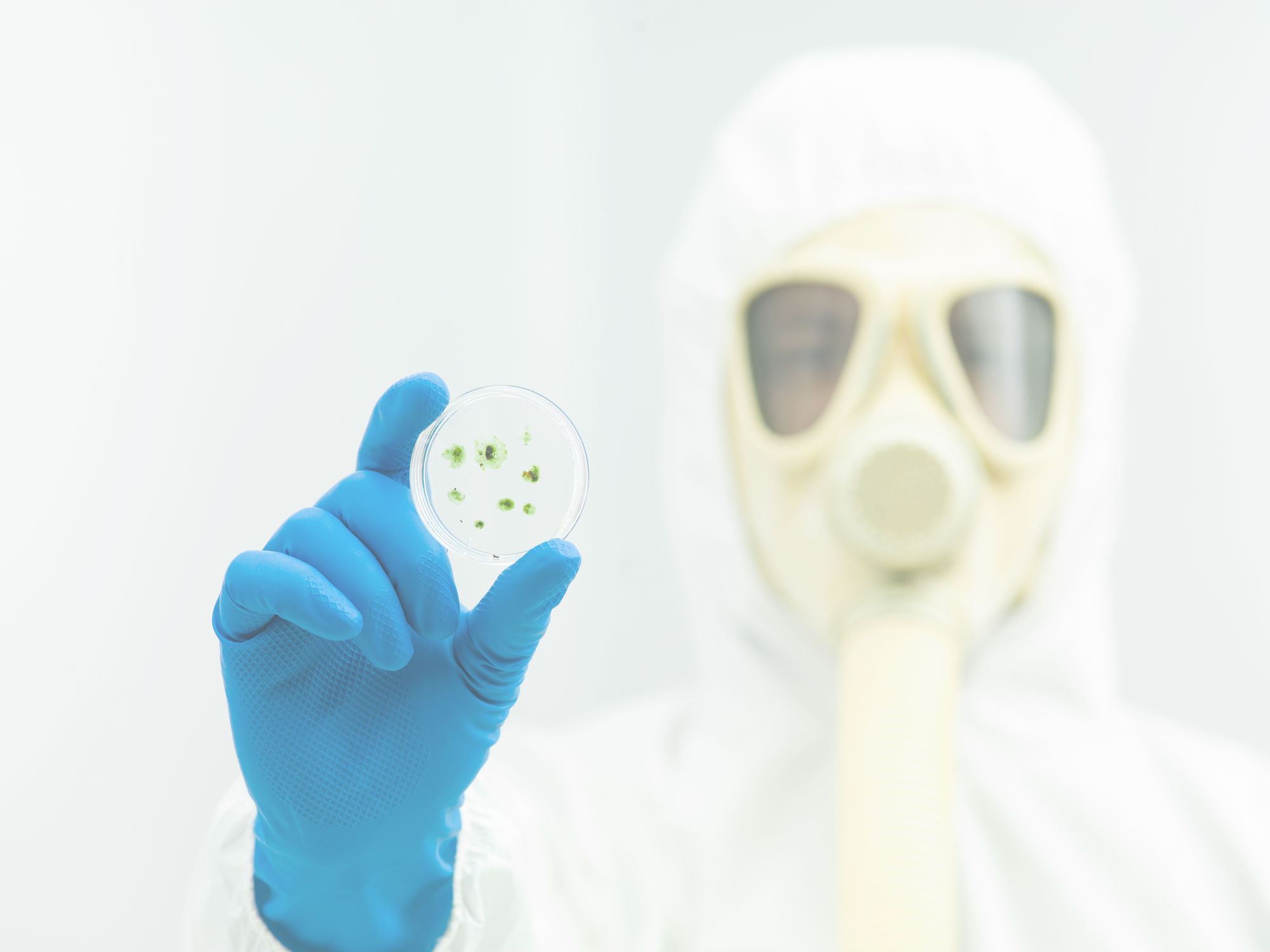 Mold-Testing--in-Plano-Texas-mold-testing-plano-texas.jpg-image